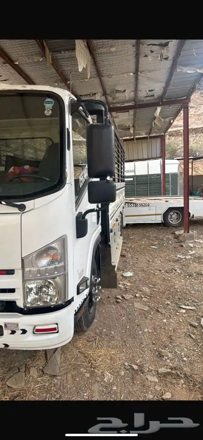 دينا اسيوزو 2016 مالك اول 3