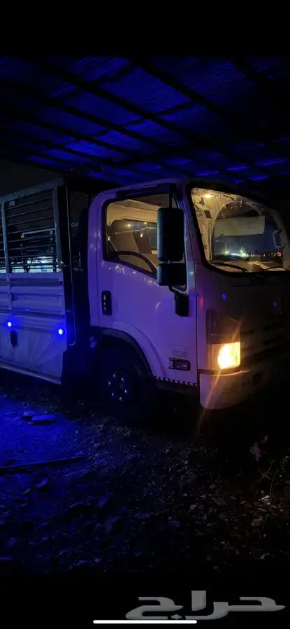 دينا اسيوزو 2016 مالك اول 0