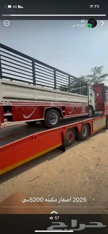 دينا موديل 2025 اصفار 0