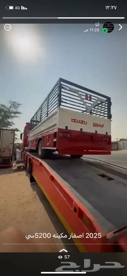 دينا موديل 2025 اصفار 1