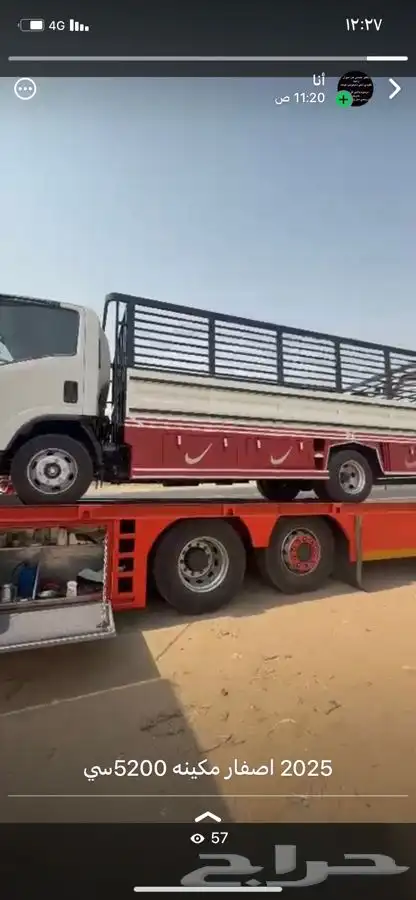 دينا موديل 2025 اصفار 3