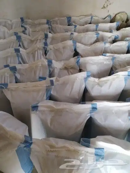 حنا عضوي وسدر بلدي100 من مزارعنا في ينبع النخل 3