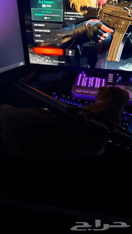 للبيع قطين اذاني مسفوطه  الام سكوتش الاب للامانه ما ادري 5