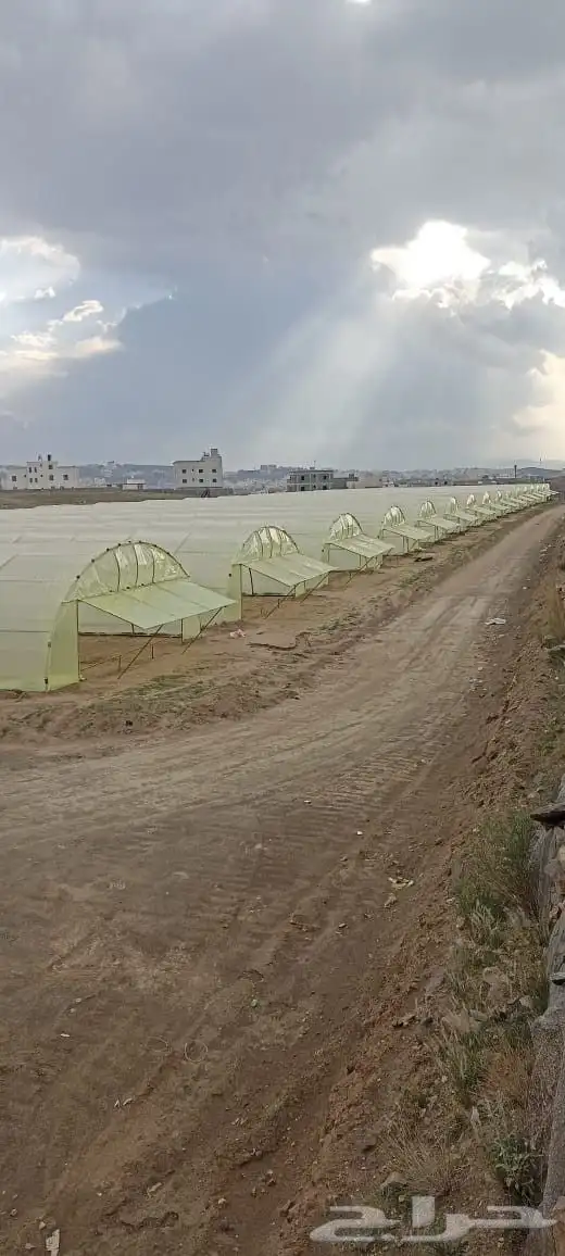 بيع وتركيب بيوت محمية وصالات زراعية وجميع مستلزماتها 7