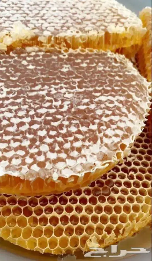 عسل سدر اصلي ع الامانة مسؤول عنه امام الله شفاء ودواء 0