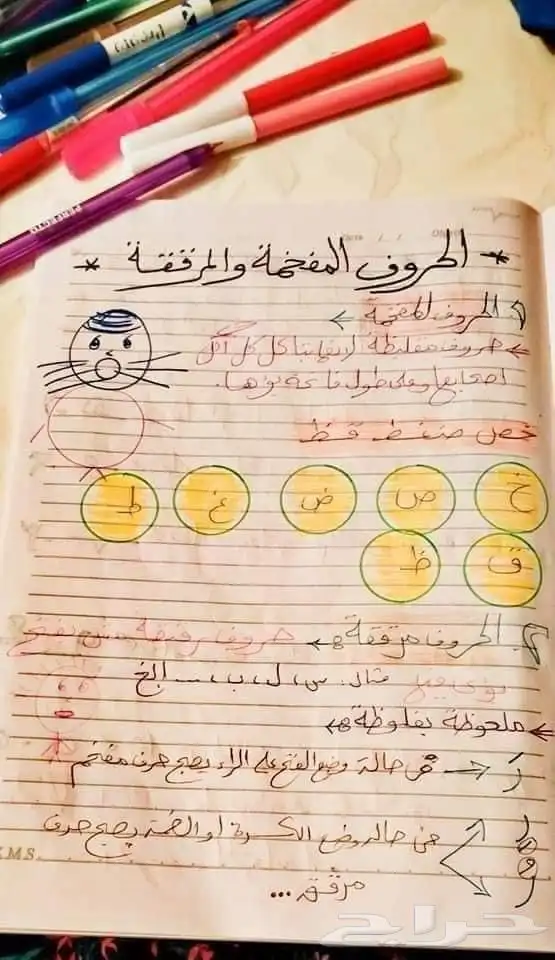 معلمة_تأسيس_ومتابعه_مصرية 1