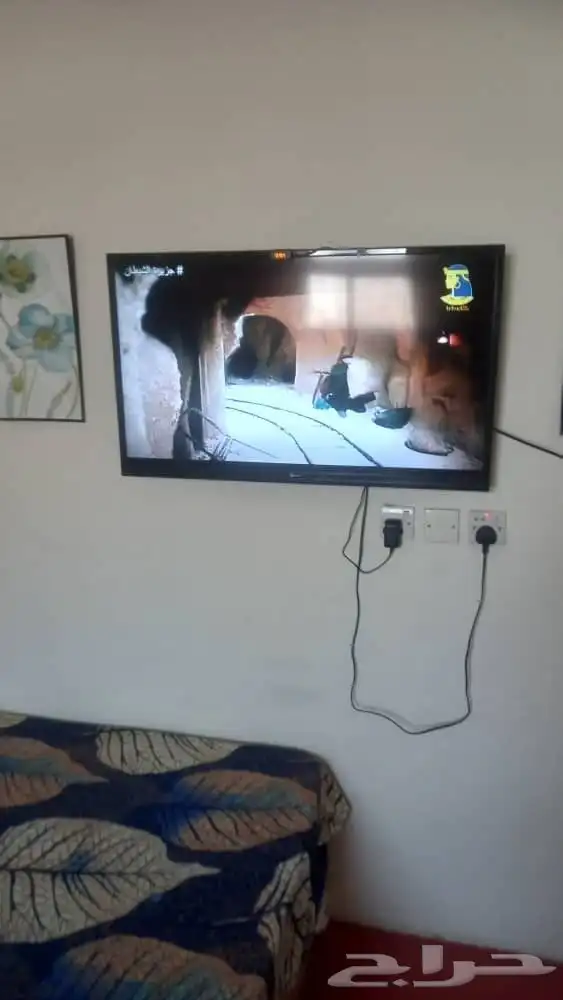 شاشه 43 بوصه عاديه 250. بوتجاز 100  دولاب 100قابل التفاوض 0