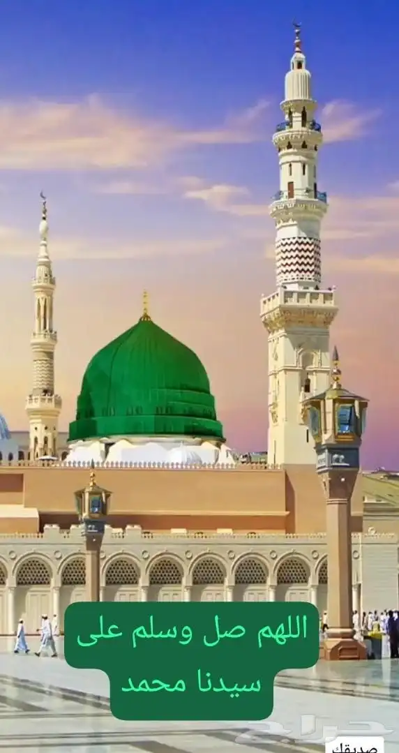 أبحث عن عمل 5