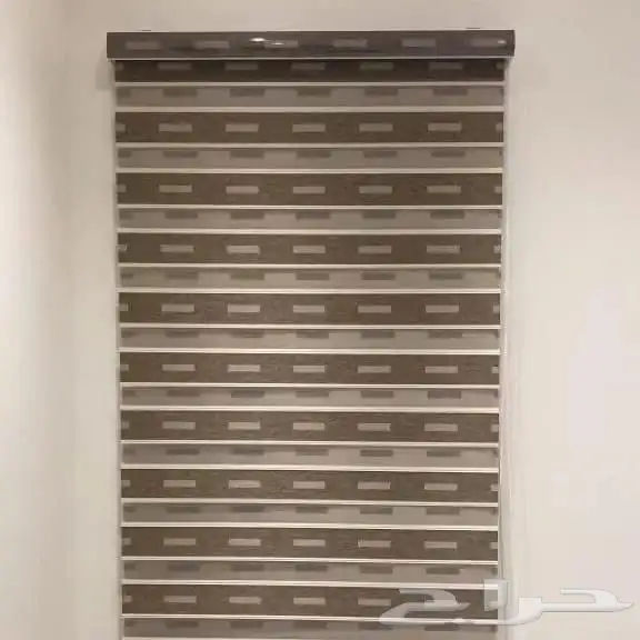 ستاير الزيبرا 6