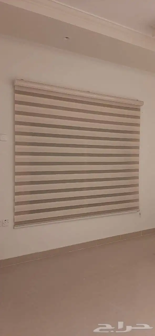 ستاير الزيبرا 9