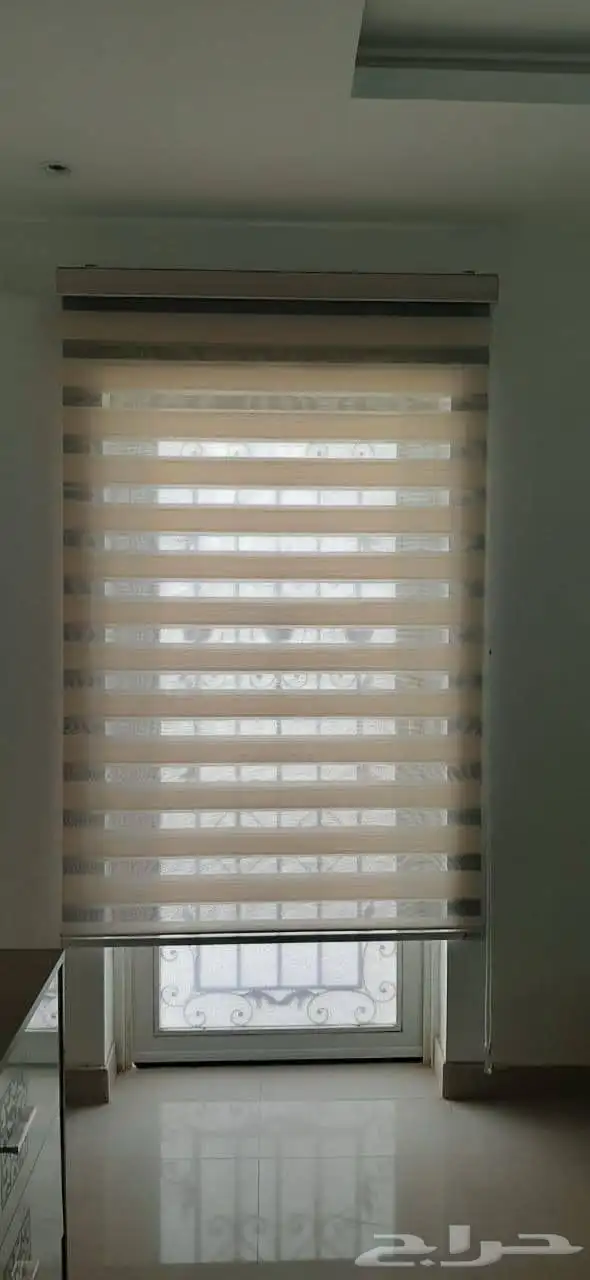 ستاير الزيبرا 7