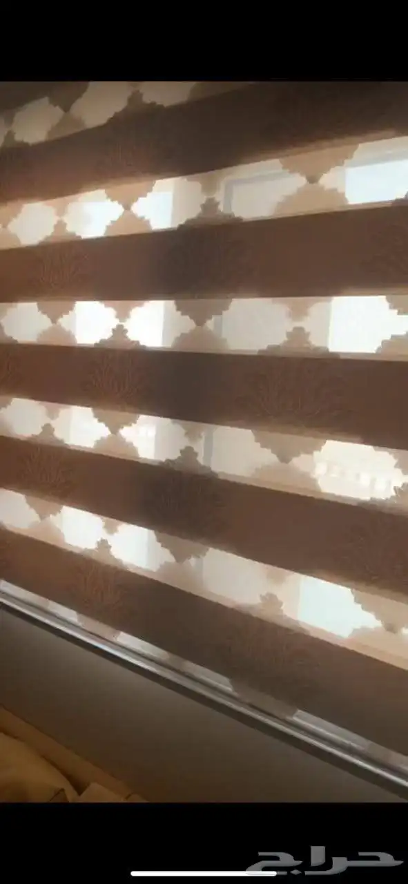 ستاير الزيبرا 8