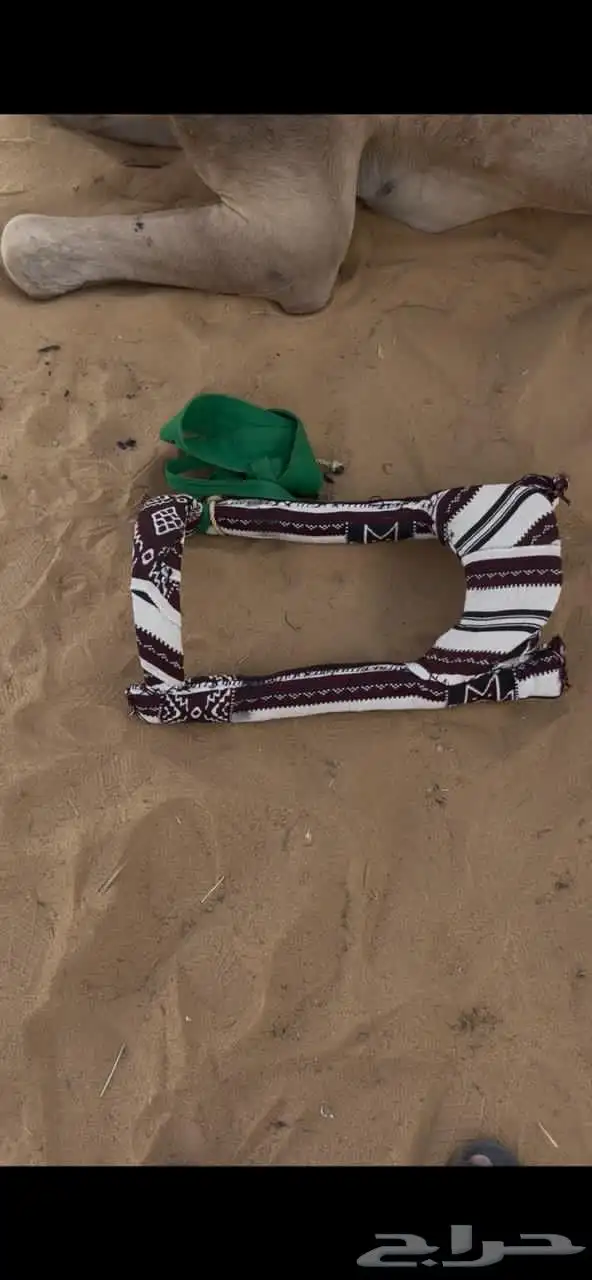 حداجه او شداد ( حوايه ) بعير 1