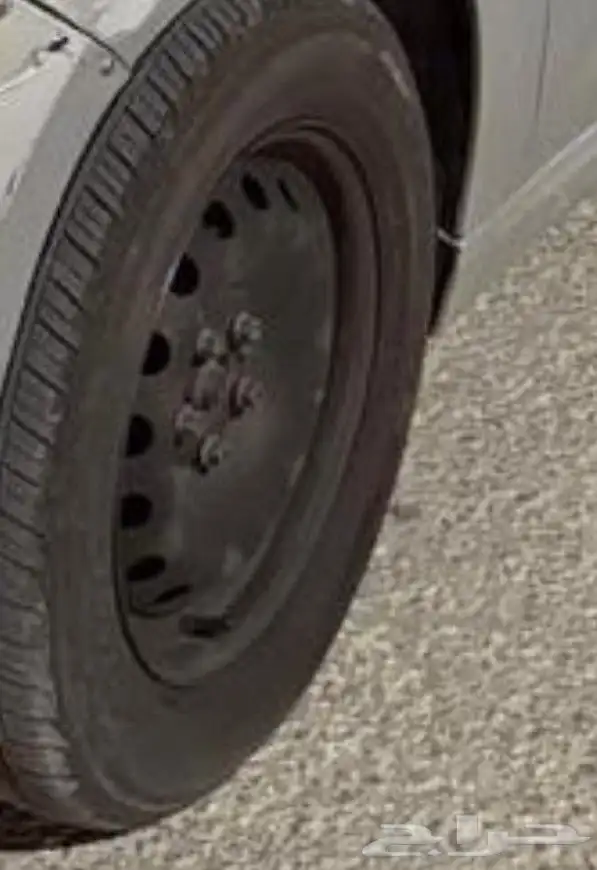 دودج نيون موديل2020 0