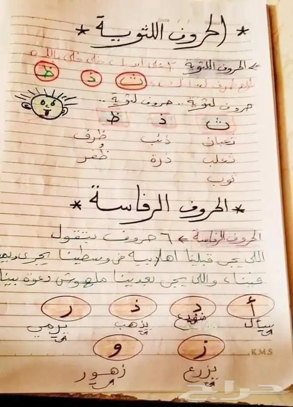 معلمة_تأسيس_ومتابعه_مصرية 2