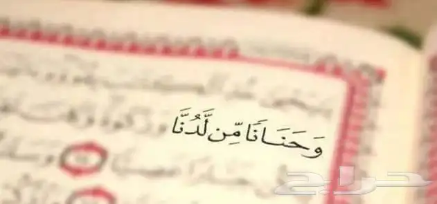 أبحث عن عمل 7