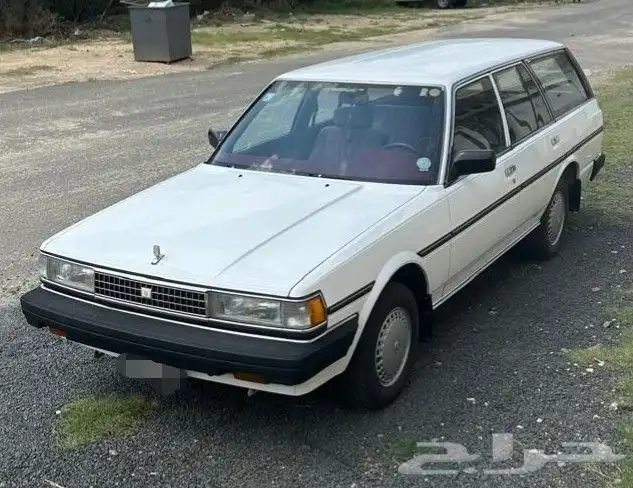 اذكروا الله وصلوا على النبي للبيع كرسيدا 88 بقس شبه وكاله 10