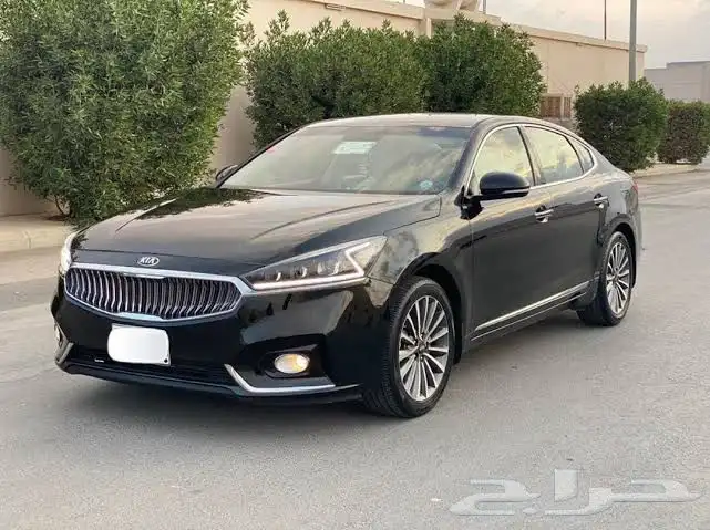 مطلوب مطلوب مطلوب كادينزا 0