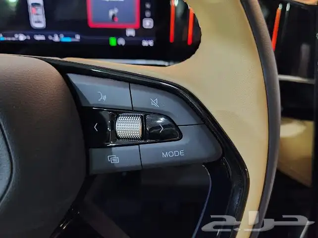 جيلي استار راي 2024 3