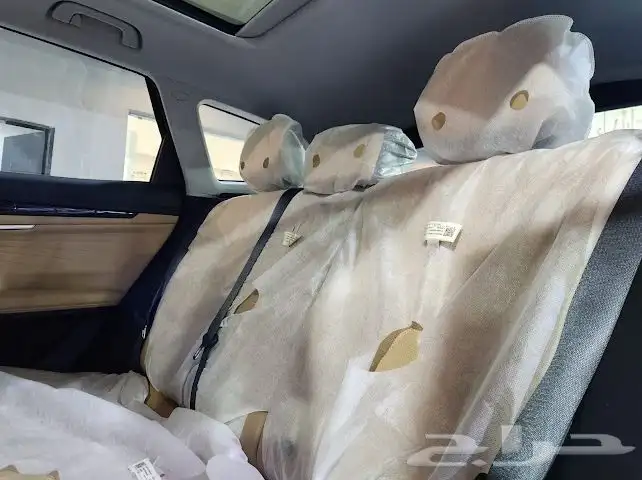 جيلي استار راي 2024 12