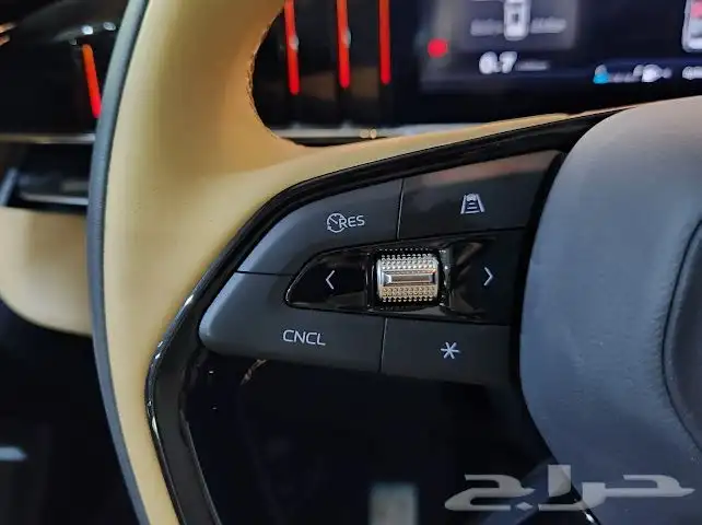 جيلي استار راي 2024 4