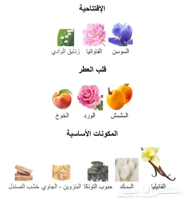 عينة عطر مس ديور و عينة عطر جادور من ديور 1