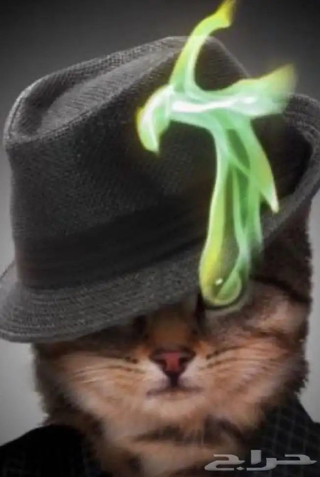 اشرطة سوني 1 اصلية تم البيع 0