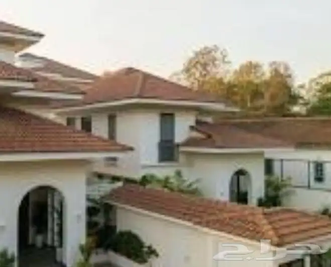 مطلوب دور وثلاث شقق 0