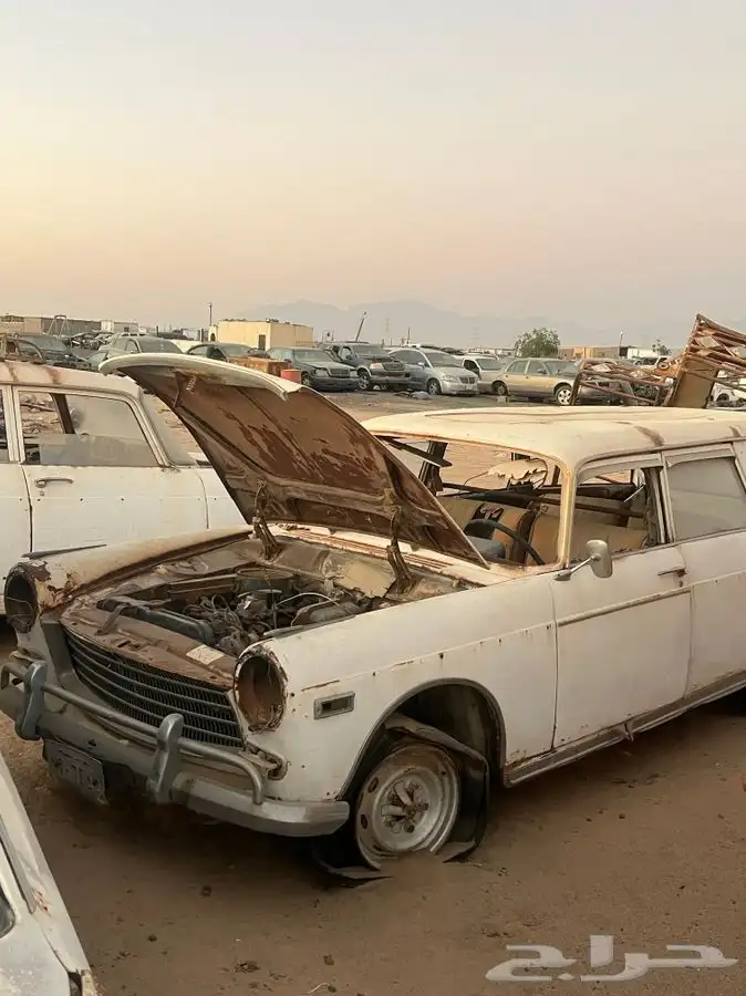 سيارات تراث و لوحات تراث 1