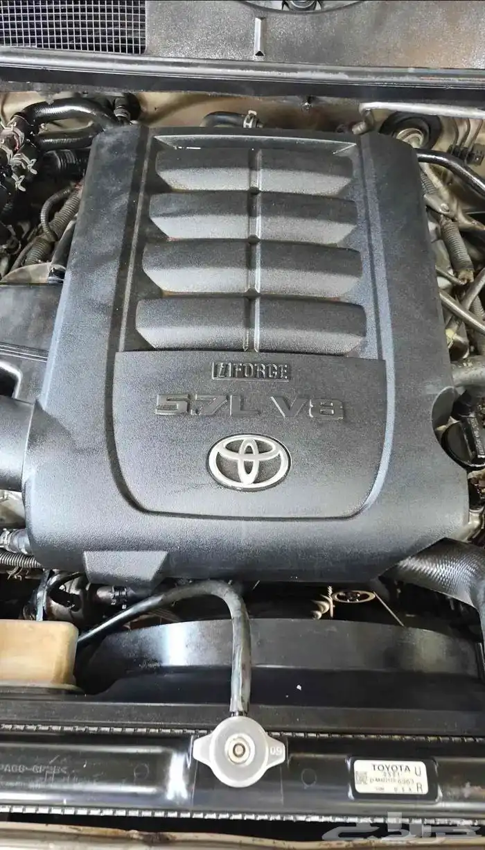 مكينة مكاين سكويا 0