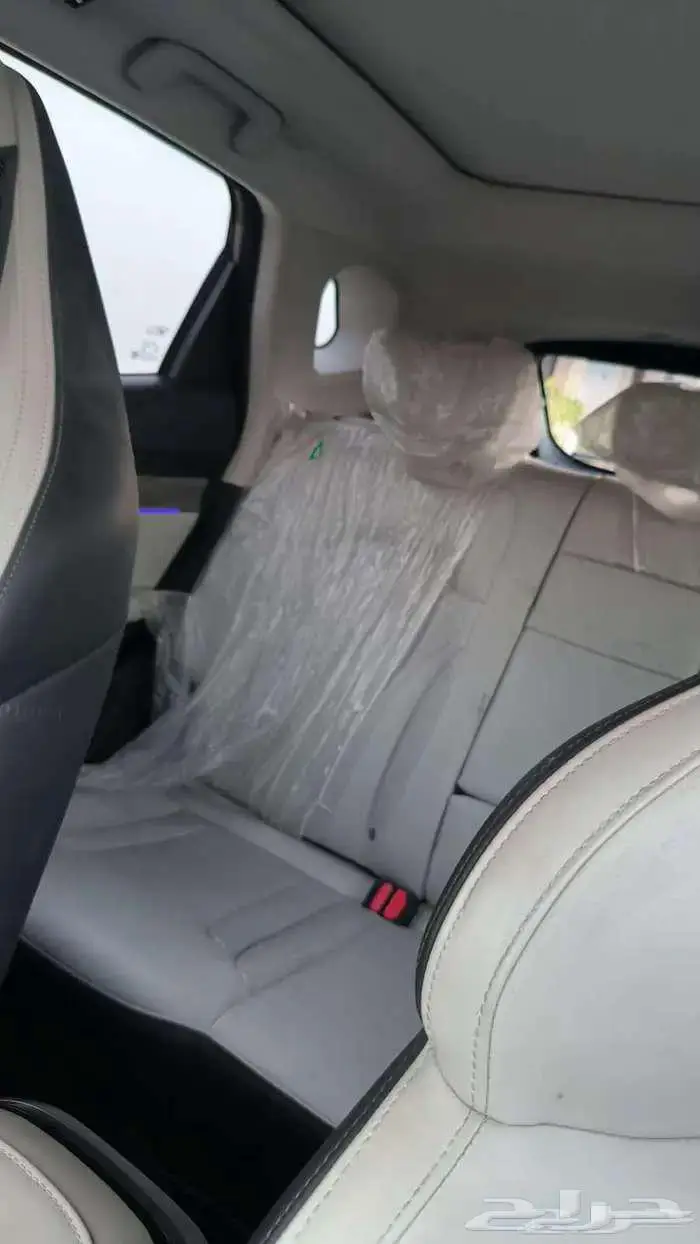 جيتور داشينج 2024 نظيف 6