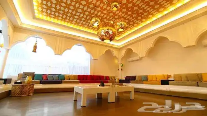 مصور محترف 0