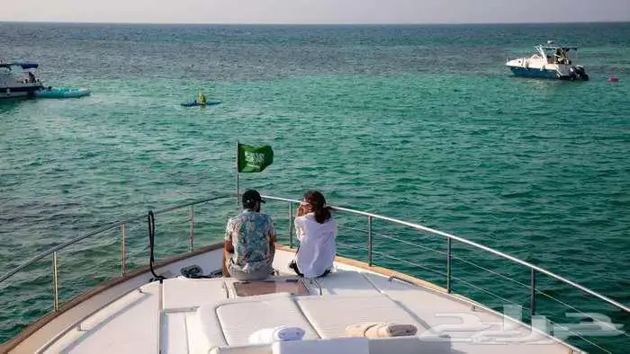 مصور محترف 2