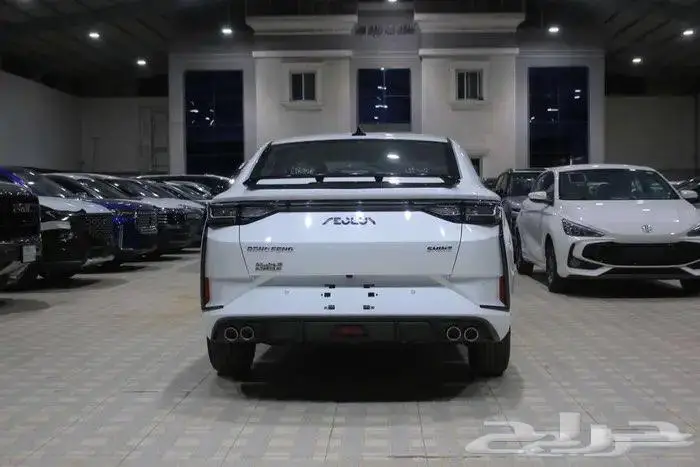 متوفر دونج فينج E2 بافضل الاسعار 4