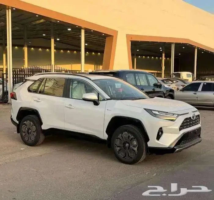 راف فور نص فل XLE هايبرد 2025 ابيض 1