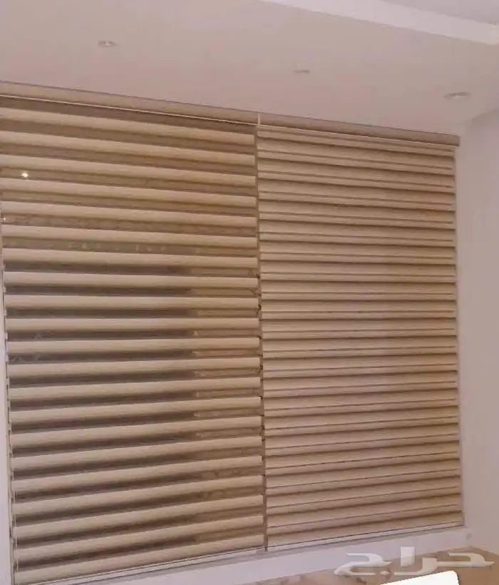 ستاير الزيبرا 0