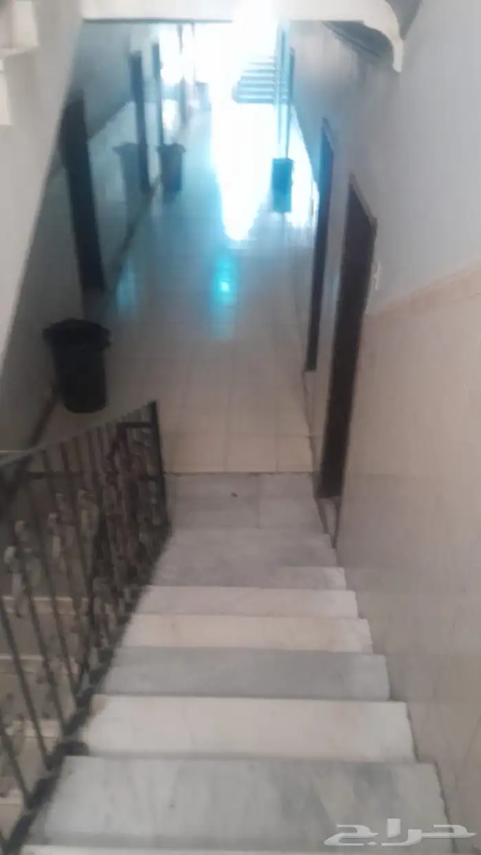 أصباغ جبس ترميم 0