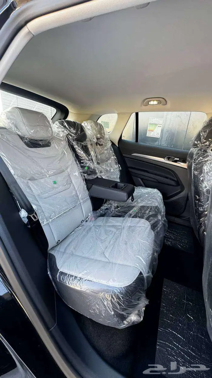 فورد تيريتوري امبيانتي 2026 لدي الخضر للسيارات - الجملة 13