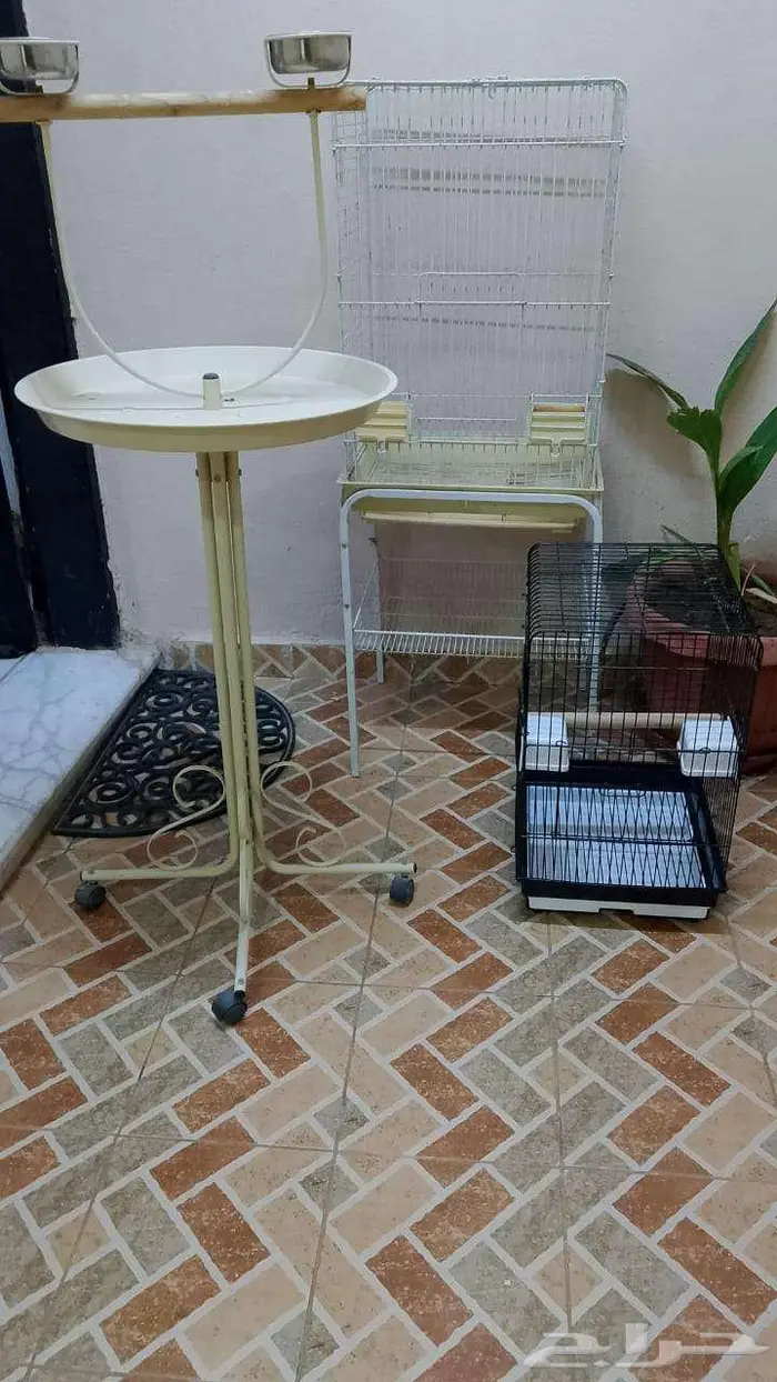 اقفاص وصحن عرض ببغوات الشبك الصغير استخدام يومين فقط 0