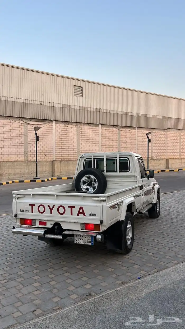 شاص رفرف 2015 4