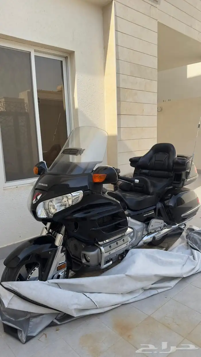 دباب قولد ونق 6