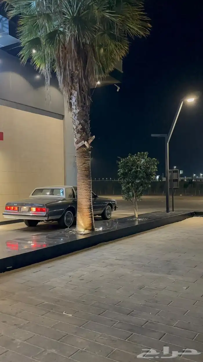 كابرس للإيجار للمحلات فقط 1