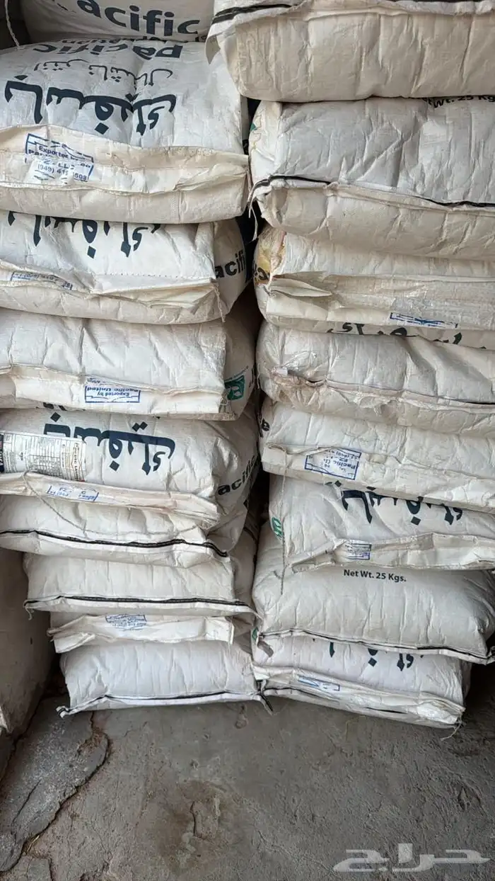 برسيم أمريكي باسيفك انترناشونال 1