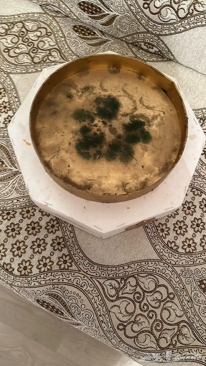 استاندات ضيافة 6