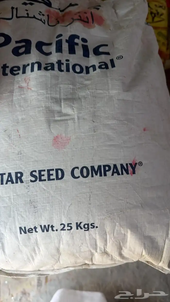 برسيم أمريكي باسيفك انترناشونال 0