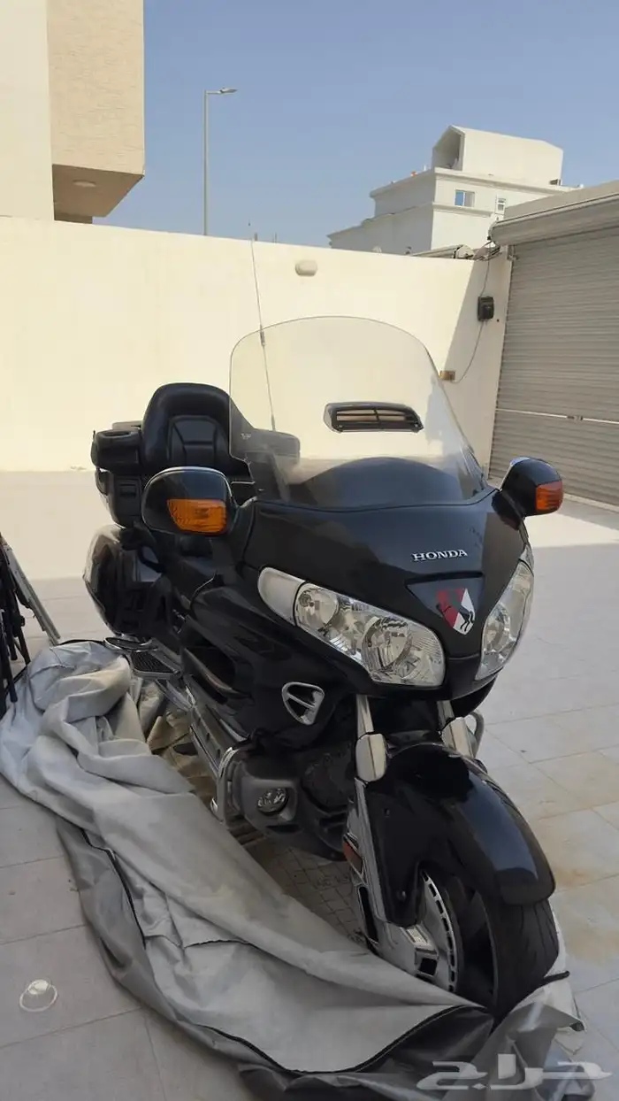 دباب قولد ونق 1