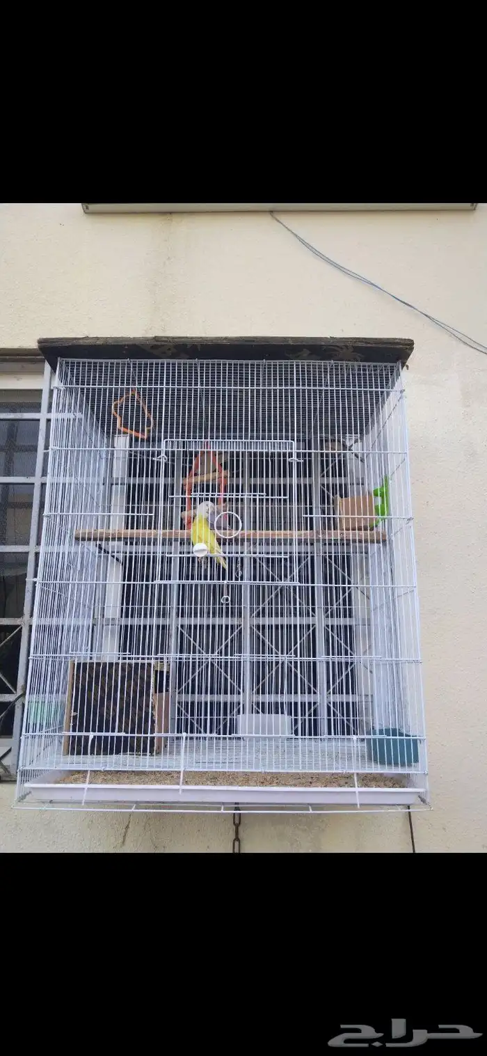 شبك طيور ب 100ريال (تم البيع ) 1
