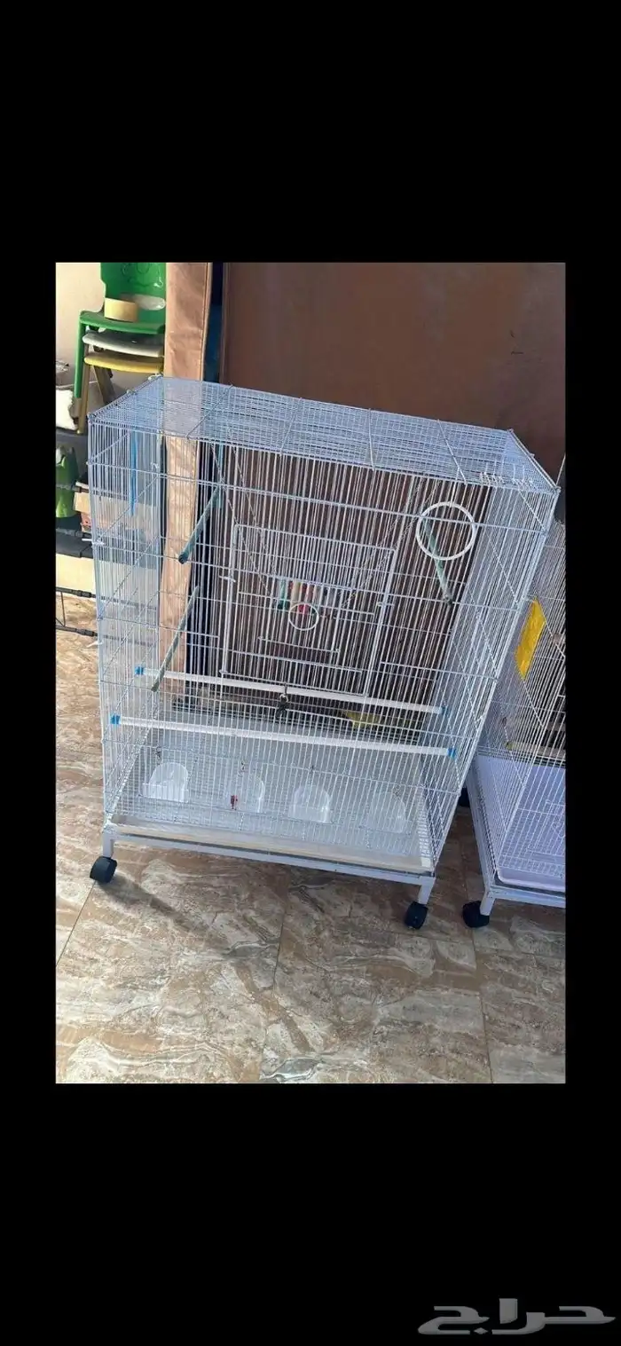 شبك طيور ب 100ريال (تم البيع ) 0