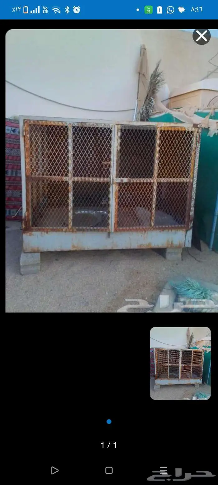 شبك نظيف ثقيل قوي علي الشرط 1