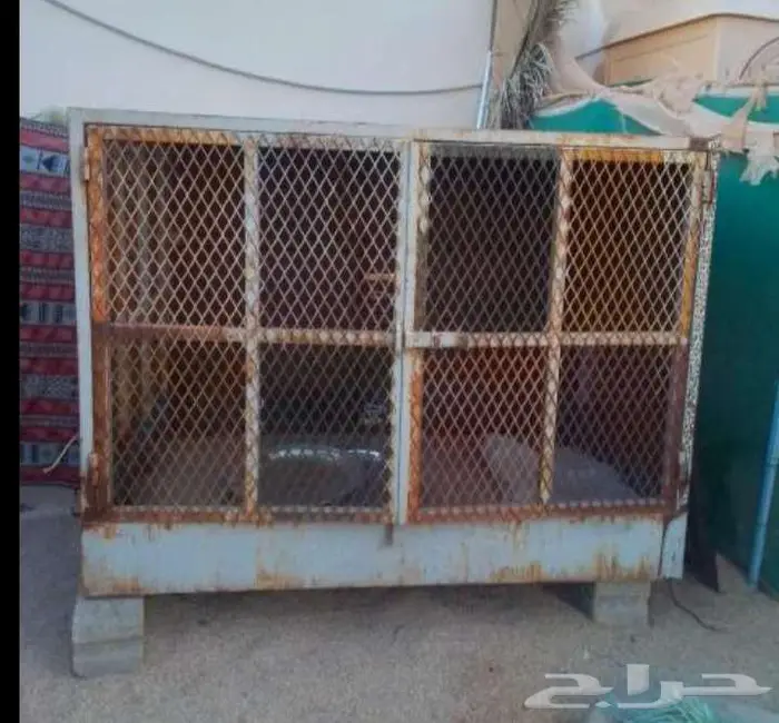 شبك نظيف ثقيل قوي علي الشرط 0